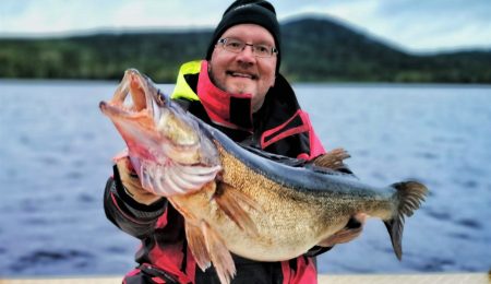 Miekojärvi zander - the northernmost natural zander in the world